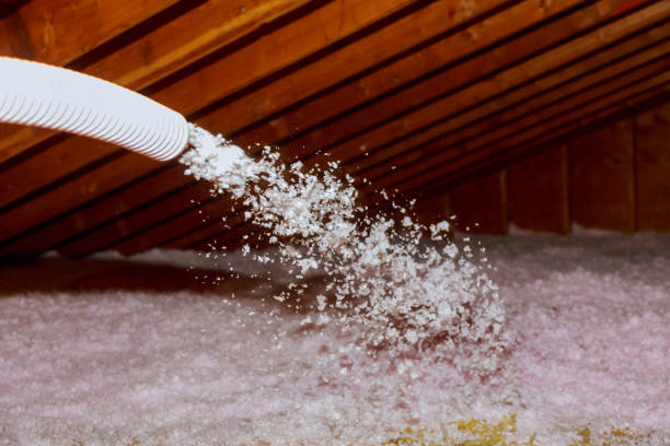 Best Specialty Insulation in Ottumwa, IA