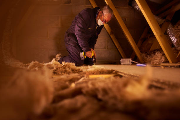Best Insulation Installation Services in Ottumwa, IA